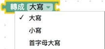 選擇大小寫轉換